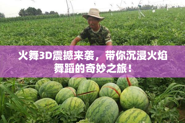 火舞3D震撼来袭，带你沉浸火焰舞蹈的奇妙之旅！