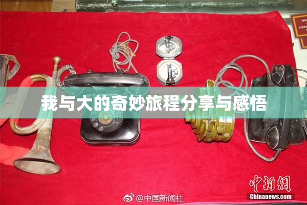 我与大的奇妙旅程分享与感悟