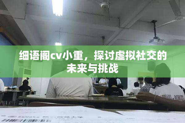 细语阁cv小重，探讨虚拟社交的未来与挑战