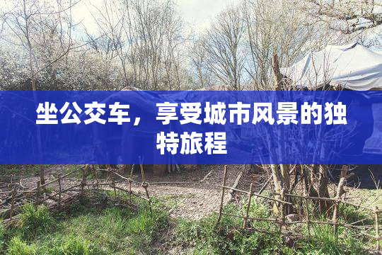 坐公交车，享受城市风景的独特旅程