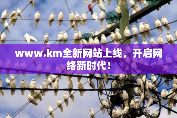 www.km全新网站上线，开启网络新时代！
