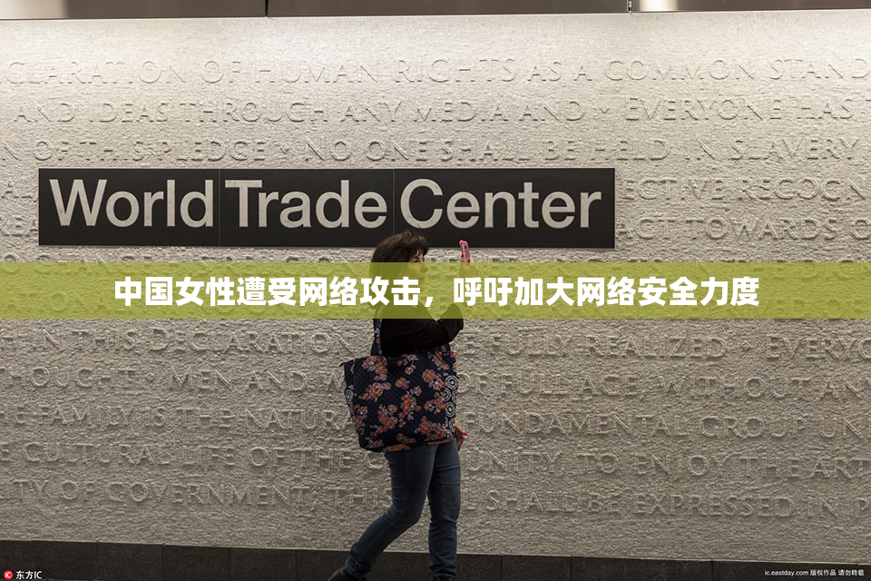 中国女性遭受网络攻击，呼吁加大网络安全力度