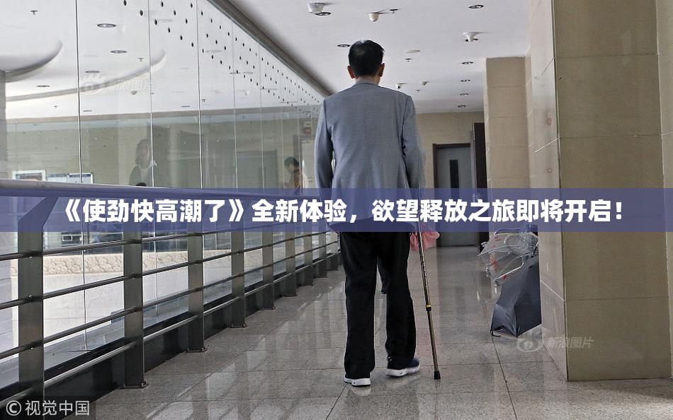 《使劲快高潮了》全新体验，欲望释放之旅即将开启！