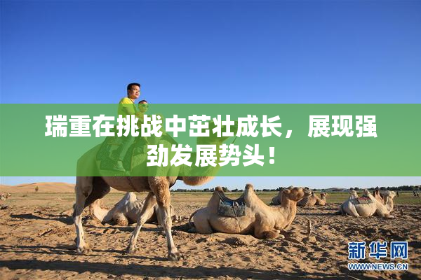 瑞重在挑战中茁壮成长，展现强劲发展势头！