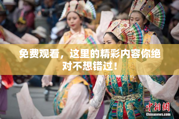 免费观看，这里的精彩内容你绝对不想错过！