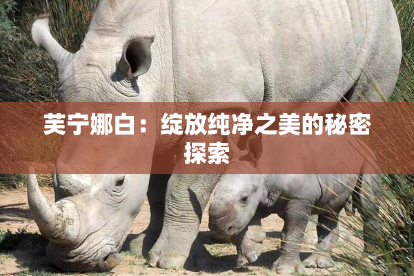 芙宁娜白：绽放纯净之美的秘密探索