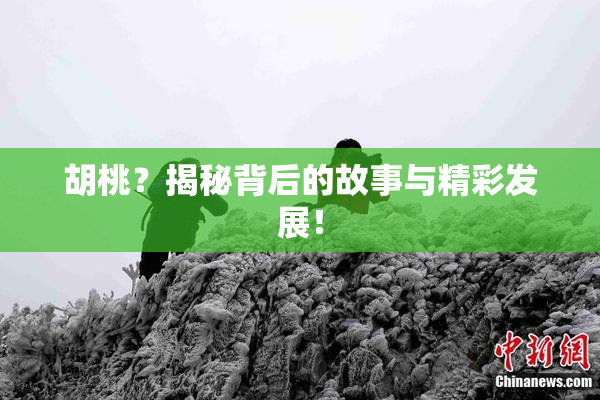 胡桃？揭秘背后的故事与精彩发展！