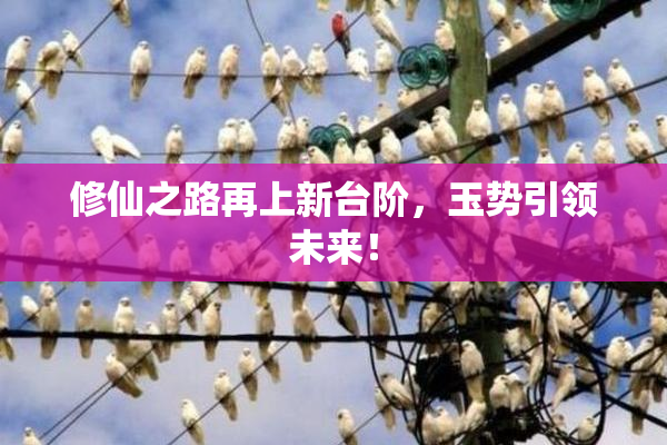 修仙之路再上新台阶，玉势引领未来！