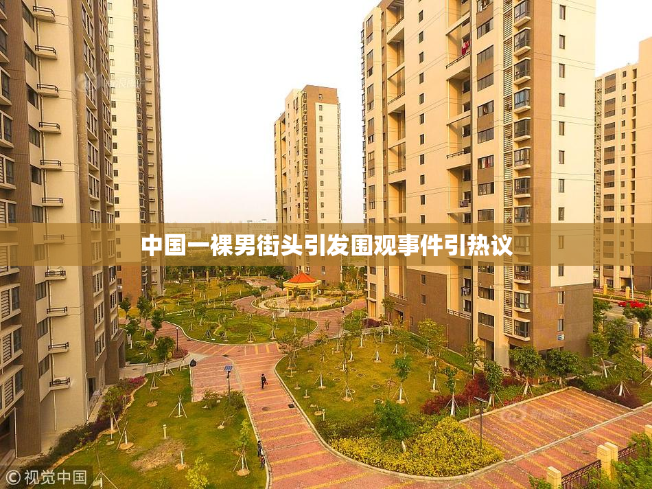 中国一裸男街头引发围观事件引热议