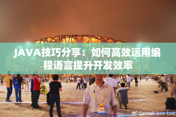 JAVA技巧分享：如何高效运用编程语言提升开发效率