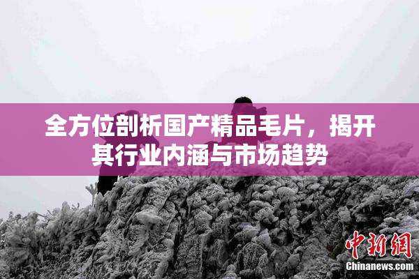 全方位剖析国产精品毛片，揭开其行业内涵与市场趋势