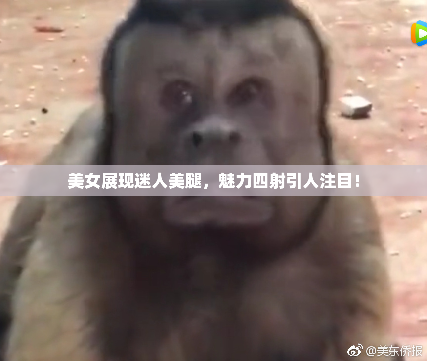 美女展现迷人美腿，魅力四射引人注目！