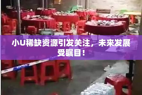 小U稀缺资源引发关注，未来发展受瞩目！