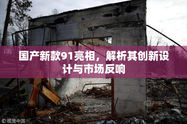 国产新款91亮相，解析其创新设计与市场反响