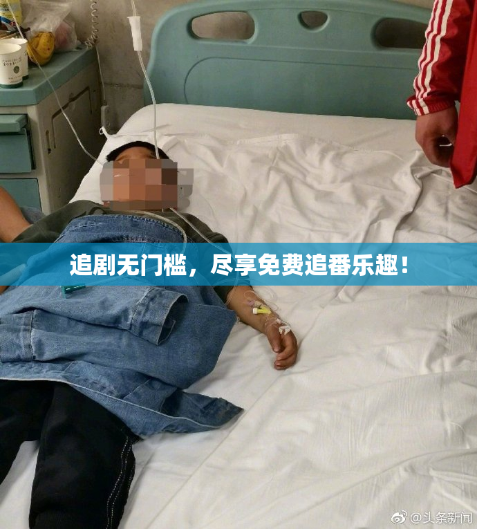 追剧无门槛，尽享免费追番乐趣！