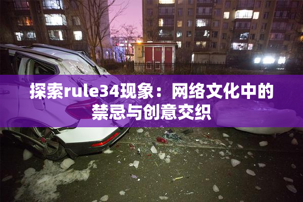 探索rule34现象：网络文化中的禁忌与创意交织