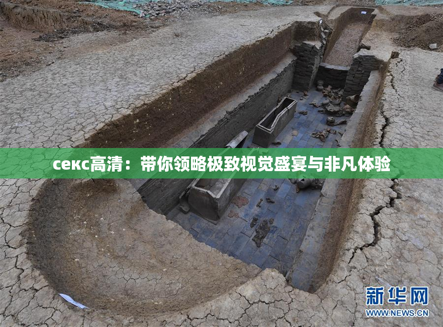 ceкс高清：带你领略极致视觉盛宴与非凡体验