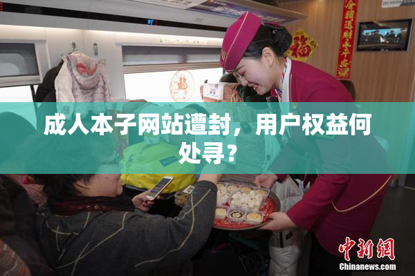 成人本子网站遭封，用户权益何处寻？