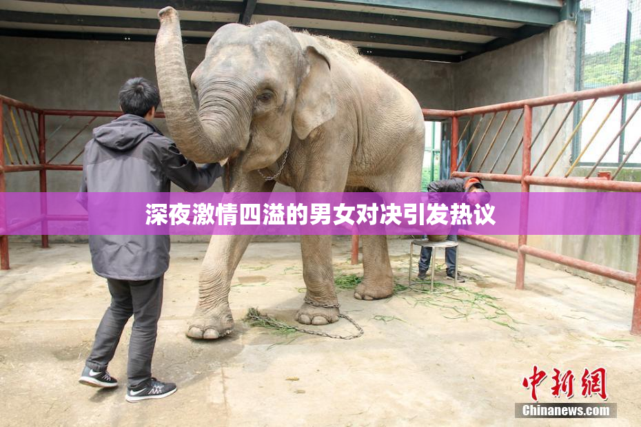 深夜激情四溢的男女对决引发热议