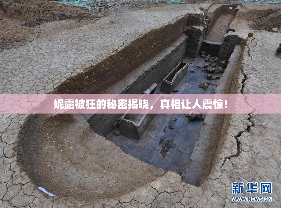 妮露被狂的秘密揭晓，真相让人震惊！