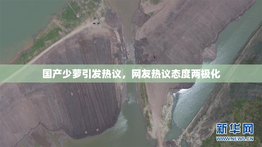 国产少萝引发热议，网友热议态度两极化