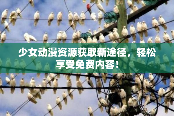 少女动漫资源获取新途径，轻松享受免费内容！