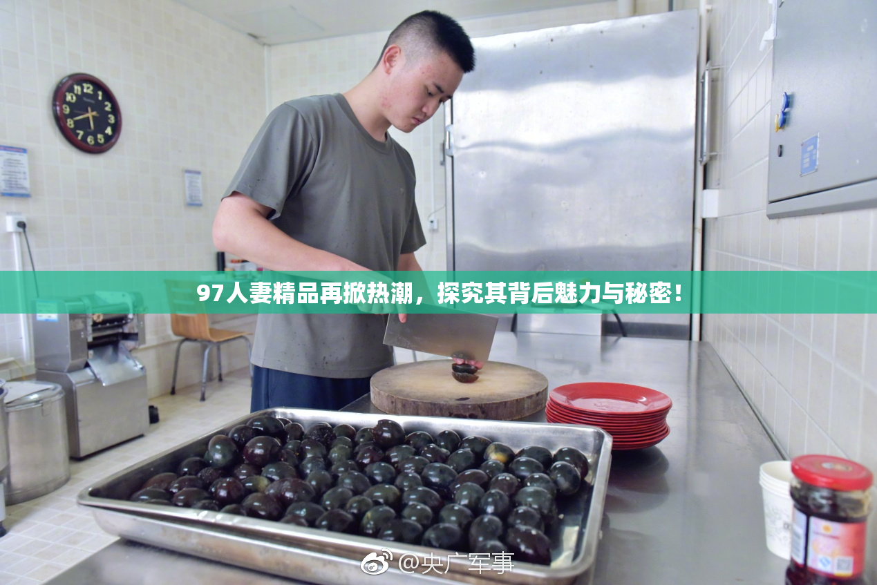 97人妻精品再掀热潮，探究其背后魅力与秘密！
