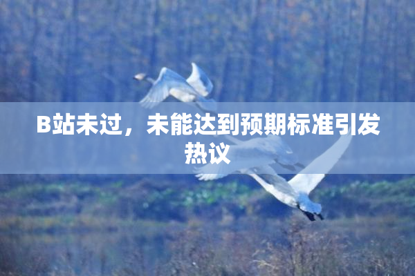 B站未过，未能达到预期标准引发热议