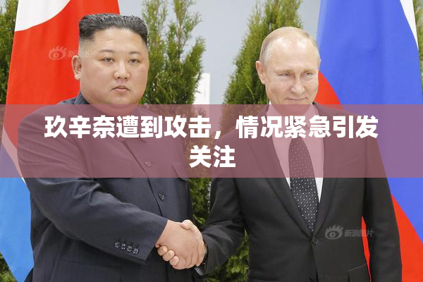 玖辛奈遭到攻击，情况紧急引发关注
