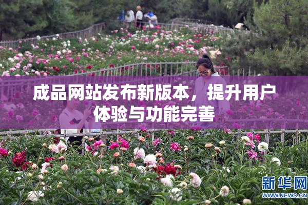 成品网站发布新版本，提升用户体验与功能完善