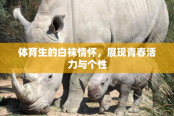 体育生的白袜情怀，展现青春活力与个性