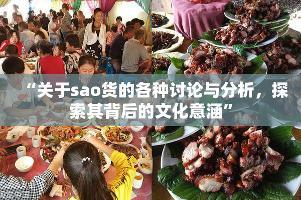 “关于sao货的各种讨论与分析，探索其背后的文化意涵”
