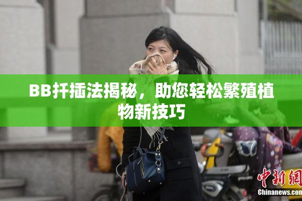 BB扦插法揭秘，助您轻松繁殖植物新技巧