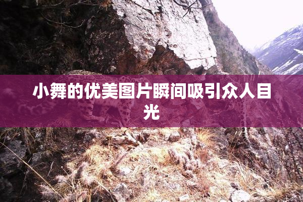 小舞的优美图片瞬间吸引众人目光