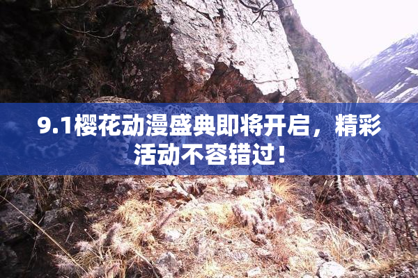 9.1樱花动漫盛典即将开启，精彩活动不容错过！