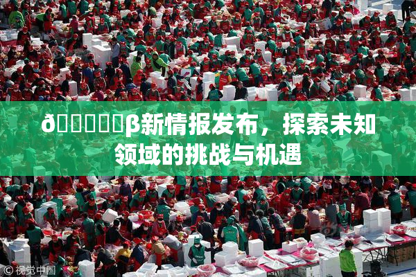 🍆❌‌β新情报发布，探索未知领域的挑战与机遇
