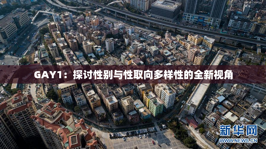 GAY1：探讨性别与性取向多样性的全新视角