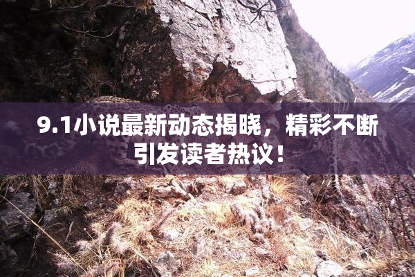 9.1小说最新动态揭晓，精彩不断引发读者热议！