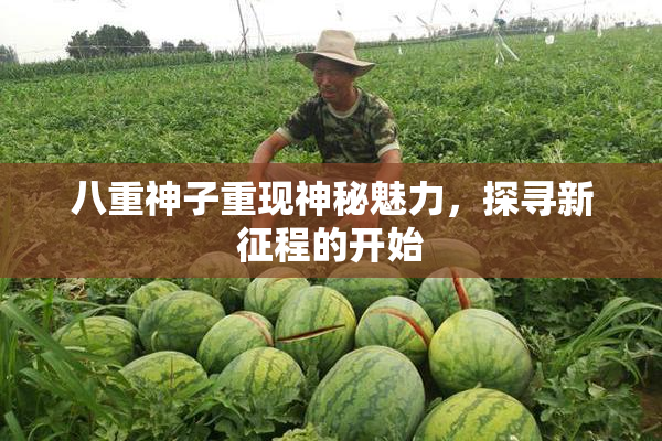 八重神子重现神秘魅力，探寻新征程的开始
