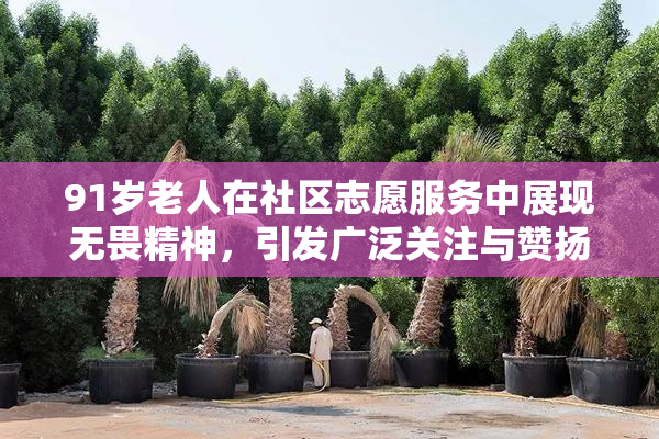 91岁老人在社区志愿服务中展现无畏精神，引发广泛关注与赞扬