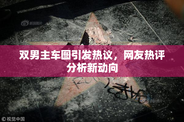双男主车图引发热议，网友热评分析新动向