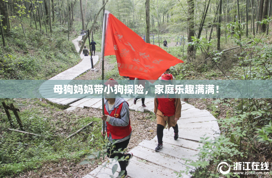母狗妈妈带小狗探险，家庭乐趣满满！