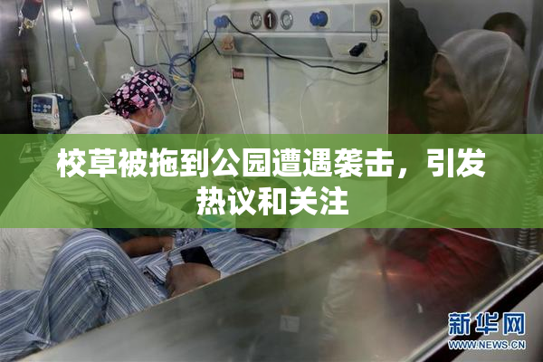 校草被拖到公园遭遇袭击，引发热议和关注