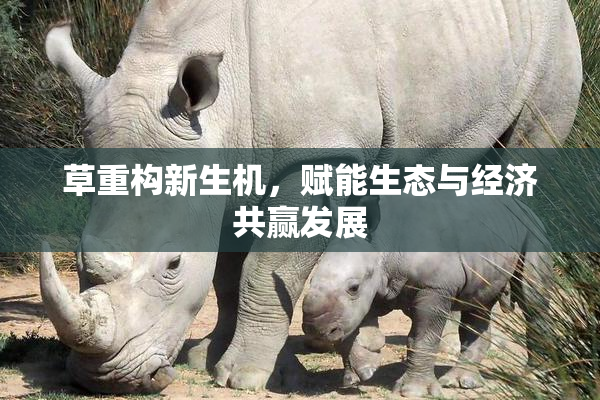 草重构新生机，赋能生态与经济共赢发展