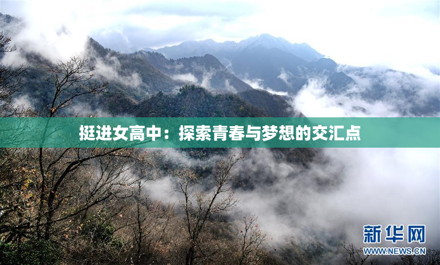 挺进女高中：探索青春与梦想的交汇点