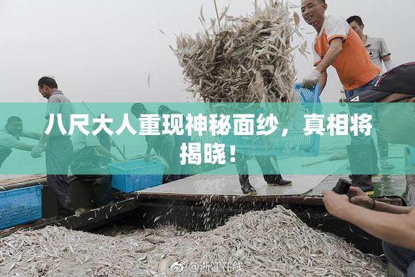 八尺大人重现神秘面纱，真相将揭晓！