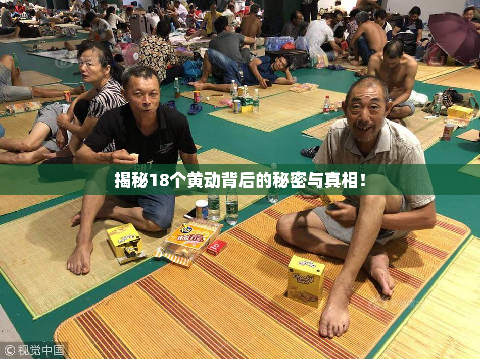 揭秘18个黄动背后的秘密与真相！