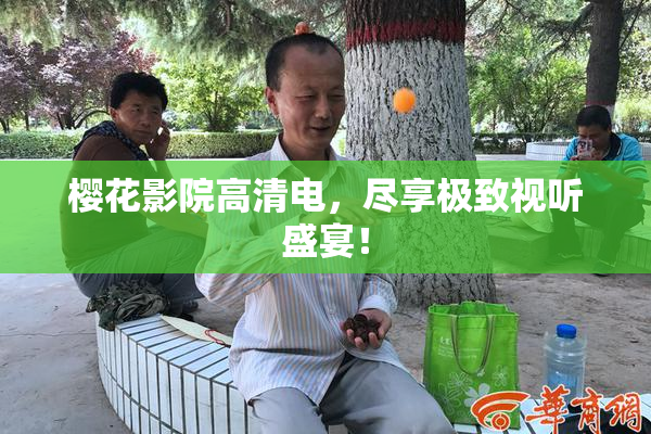 樱花影院高清电，尽享极致视听盛宴！