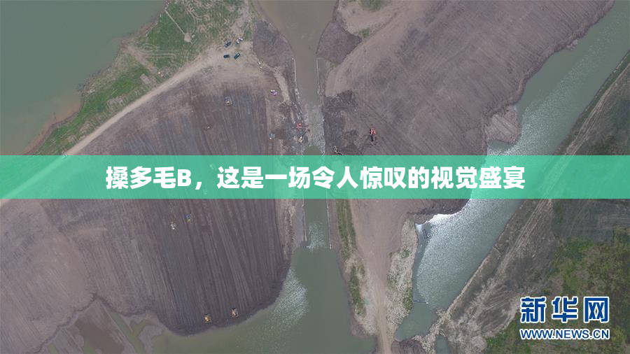 搡多毛B，这是一场令人惊叹的视觉盛宴
