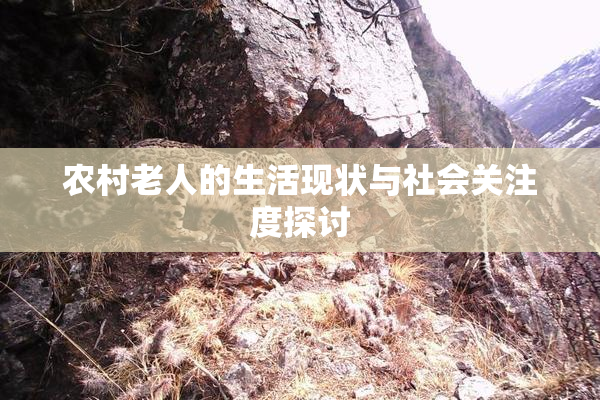农村老人的生活现状与社会关注度探讨